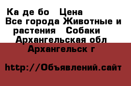 Ка де бо › Цена ­ 25 000 - Все города Животные и растения » Собаки   . Архангельская обл.,Архангельск г.